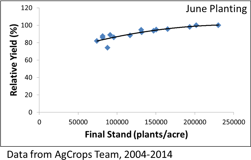 Row Spacing - - Soybean (858x575), Png Download