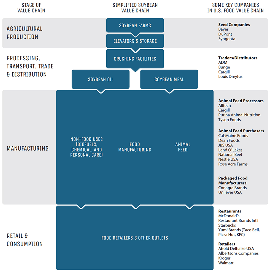 Download The Soybeans Brief - Palm Trees (1440x912), Png Download