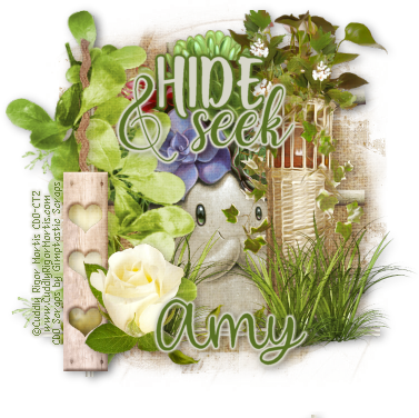 Hide & Seek - Garden Roses (377x376), Png Download