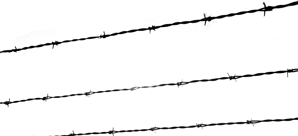 A Growing Evil - Holocaust Wires Png (1024x502), Png Download