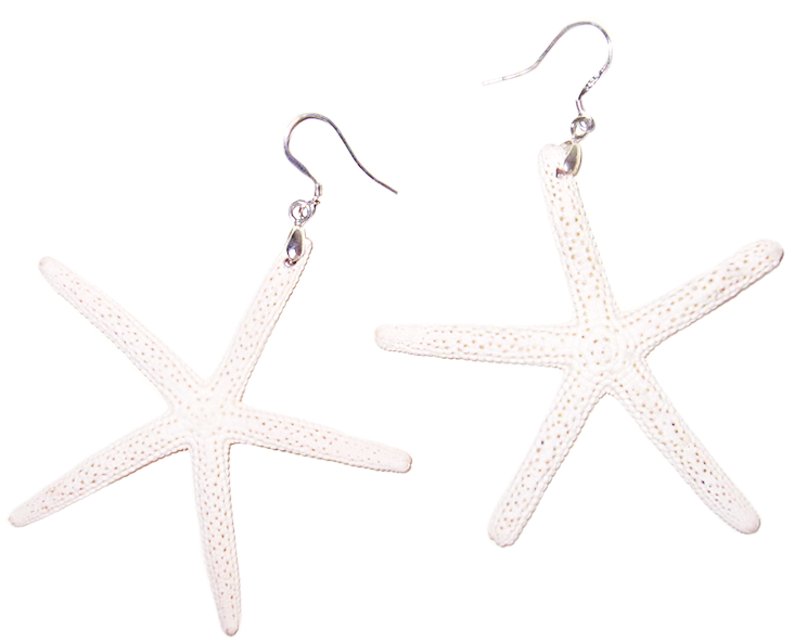 White Sugar Starfish Earrings - Earring (872x1200), Png Download