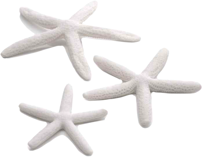 Biorb Starfish Set 3per Pk White 46134 (910x1155), Png Download