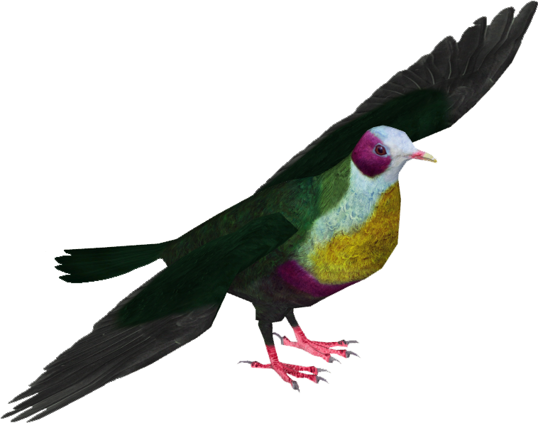 Yellow-breasted Fruit Dove - Pink-headed Fruit Dove (757x757), Png Download