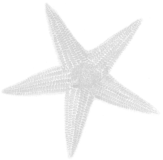 Portable Network Graphics (545x544), Png Download
