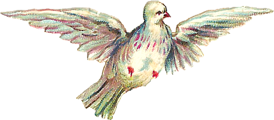 These Are Two Charming Little Victorian Scraps From - Clip Art (816x592), Png Download