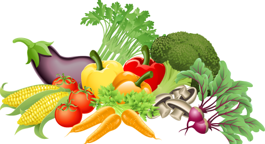 Begin Eating - - Vegetable Song For Preschool (519x283), Png Download