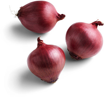 Red Onion - Potato (585x390), Png Download