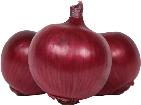 Red Onion - Onion Bombay (500x357), Png Download