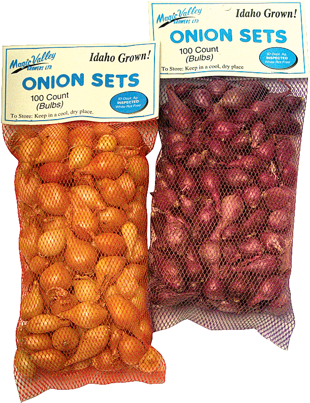 Red Onion Sets (629x821), Png Download