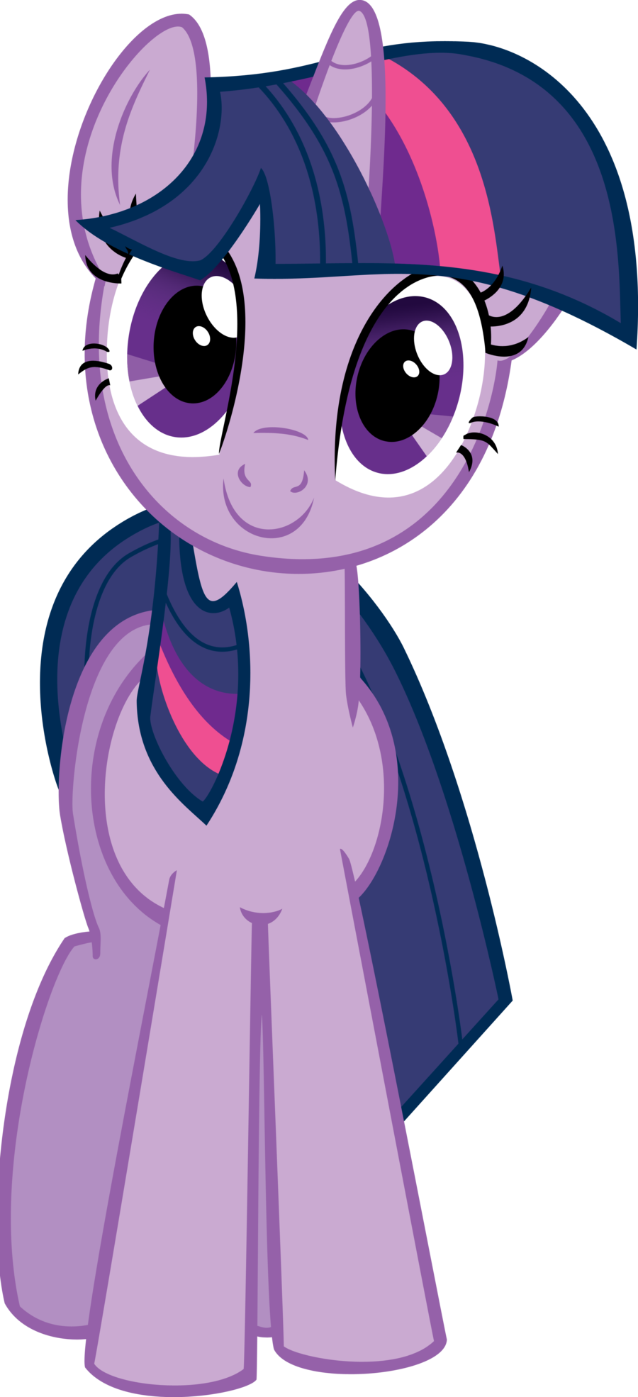 Twilight Sparkle Hugs Vector By Kitsuneymg-d41d8vk - Twilight Sparkle Hugs Vector (900x1970), Png Download