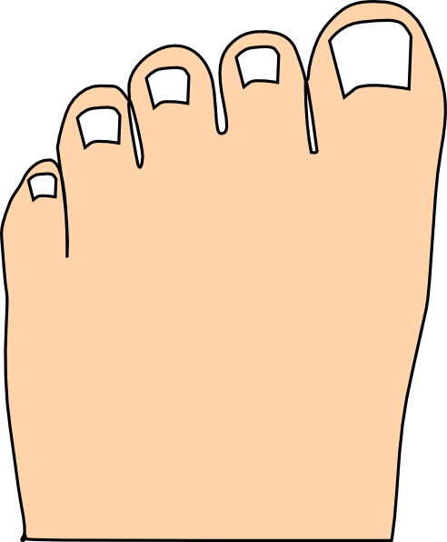 Small - Cartoon Picture Of Toes (492x596), Png Download