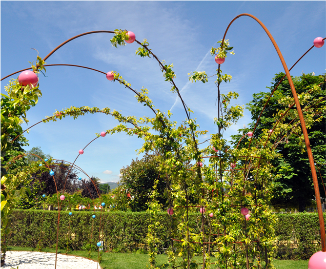 Anterior Próximo - Botanical Garden (950x550), Png Download