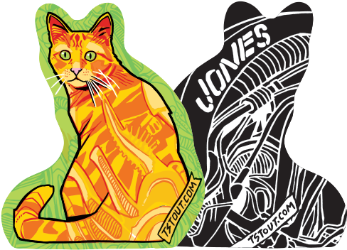 Jones - Domestic Short-haired Cat (524x394), Png Download
