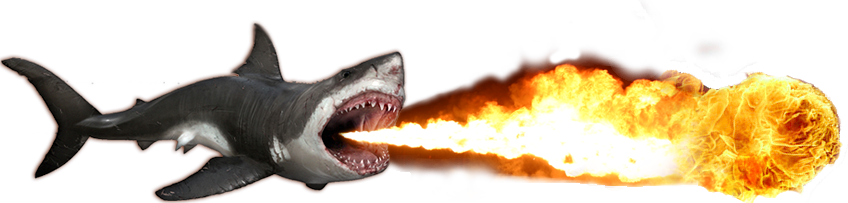 Photo Tr - Shark (848x203), Png Download