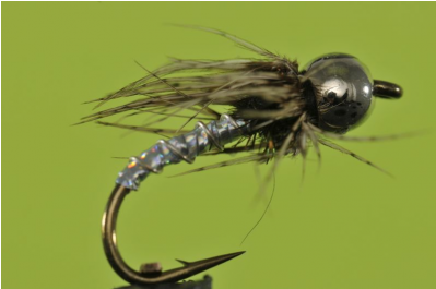 Silver Bh Soft Hackle Lightning Bug - Ichneumonoidea (398x398), Png Download