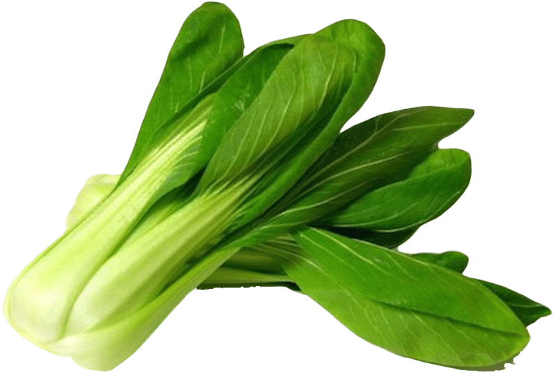 Free Png Bok Choy Png Pic Png Images Transparent - Bok Choy Png (850x588), Png Download