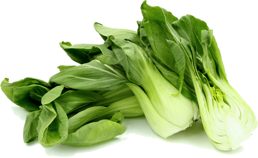 Free Png Bok Choy Png Images Transparent - Baby Bok Choy Png (850x544), Png Download