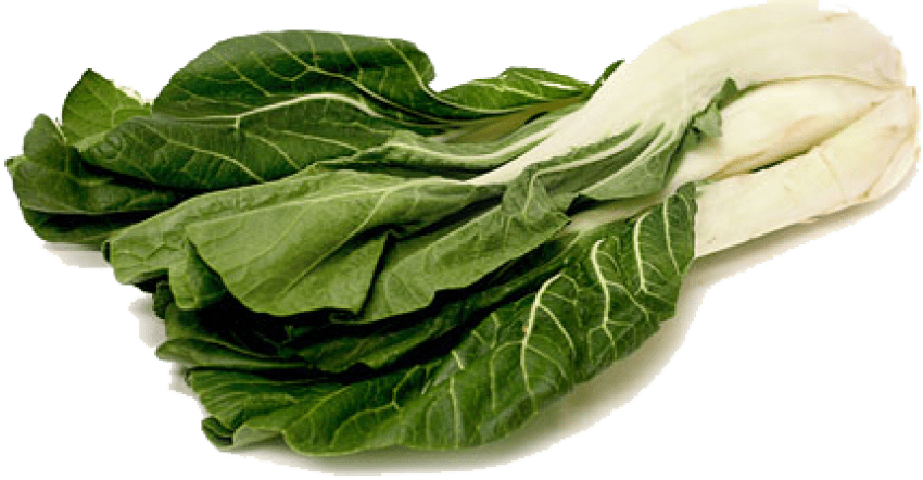 Free Png Bok Choy Png File Png Images Transparent - Chard Png (850x442), Png Download