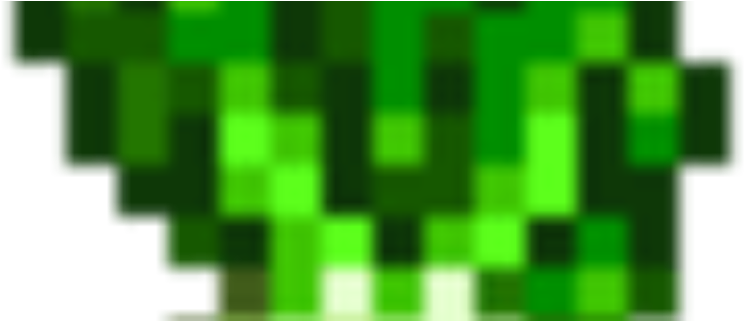 Bok Choy (817x320), Png Download