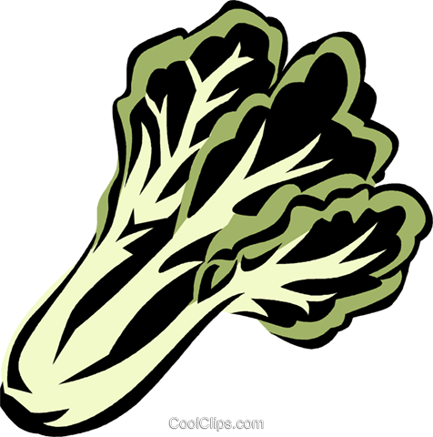 Bok Choy Royalty Free Vector Clip Art Illustration - Bok Choy (476x480), Png Download