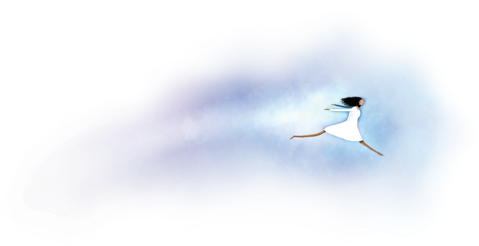 February Mets Meet Up - Seabird (500x256), Png Download
