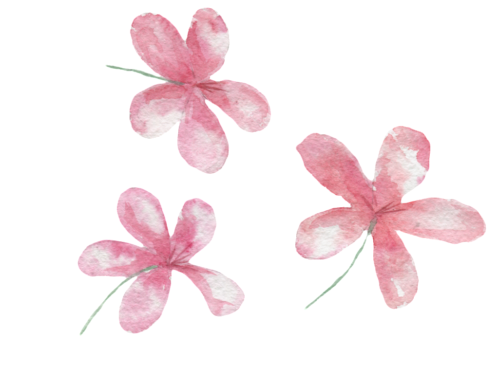 Pink Hand Painted Small Flower Transparent - Portable Network Graphics (1024x754), Png Download