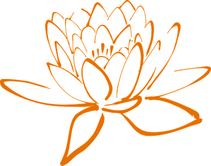 Lotus Blossom Flower Nature Plant Beautifu - Lotus Flower Ornament (round) (432x340), Png Download