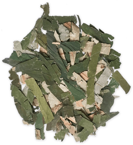 Blue Lotus Dried Leaf - Egyptian Lotus (500x500), Png Download