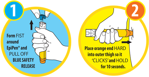 Epipen Instructions - Use Epipen (500x271), Png Download