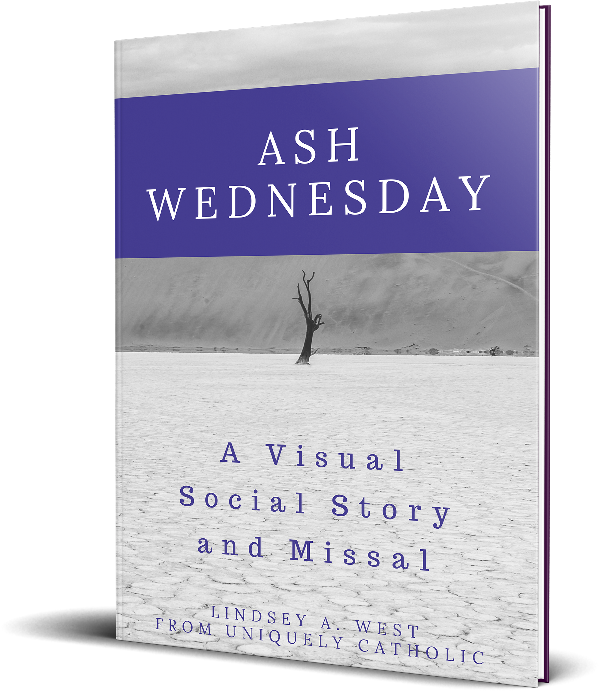 Ash Wednesday Can Be Hard When You Are On The Autism - Asch Conformity Experiments (2199x2471), Png Download