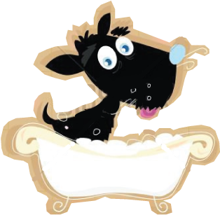 Dog Grommer< Dog Bath, Unlimited, Clean Doggy, Phoenix, - Doterra Essential Oils For Dog Hot Spots (364x364), Png Download