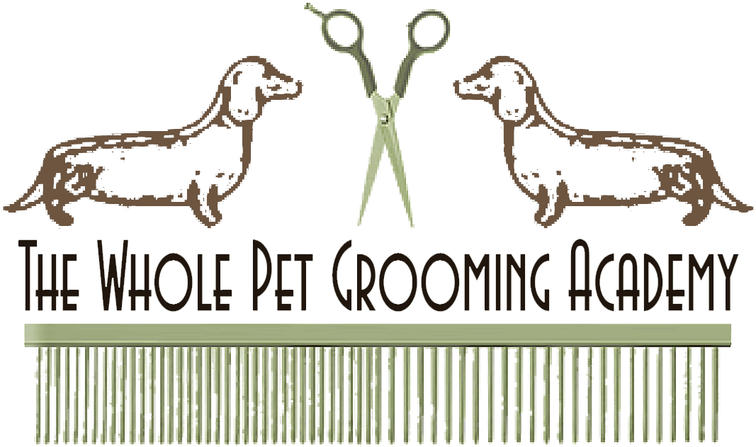 Academy (1068x641), Png Download