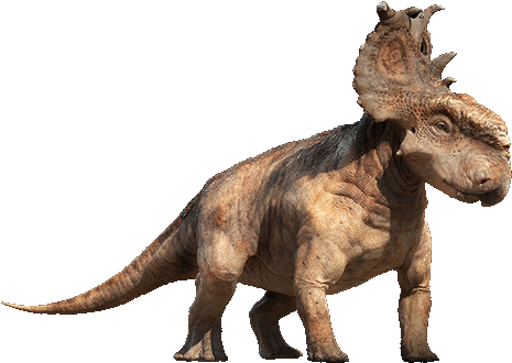 And Probably Protect His Head From The Blows (absorbing - Dinosaur With Fan Head (823x472), Png Download