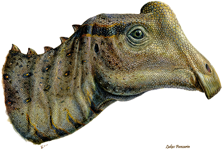 Panzarin Head - Parasaurolophus Joe (842x312), Png Download