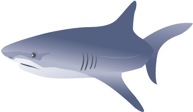 Tiburon - Shark Vector (400x400), Png Download