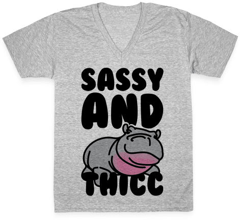 Sassy And Thicc V-neck Tee Shirt - H Double Hockey Sticks (484x484), Png Download