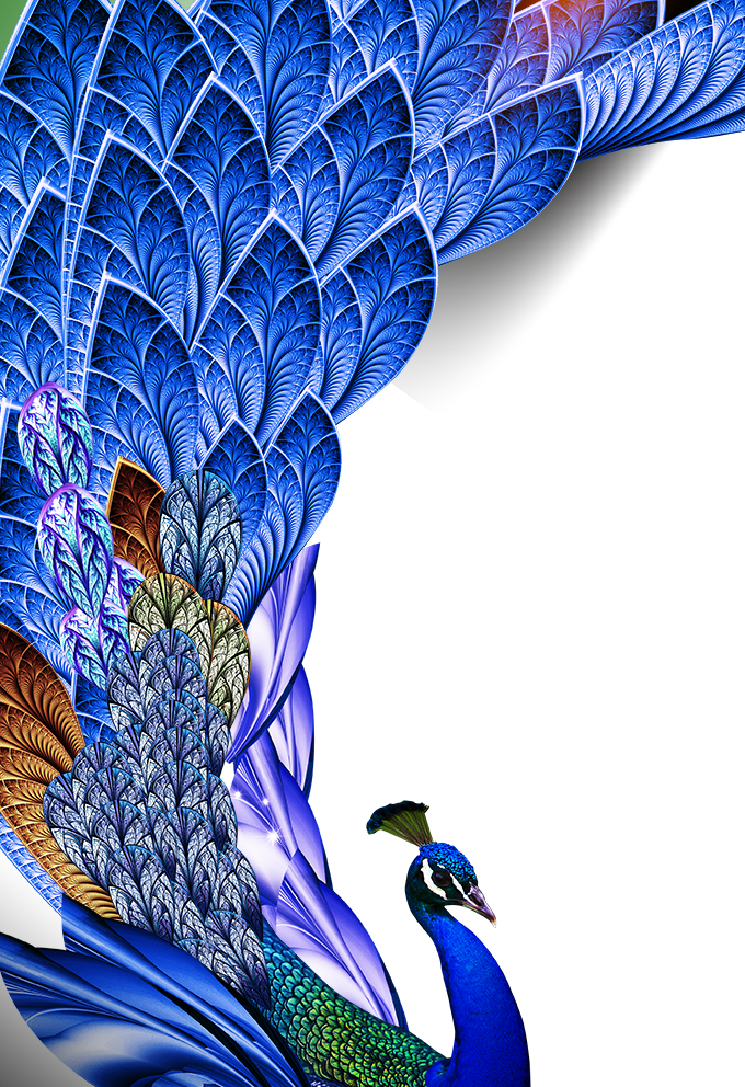 Peacock Png Download Image - Happy Krishna Janmashtami Wishes (680x992), Png Download