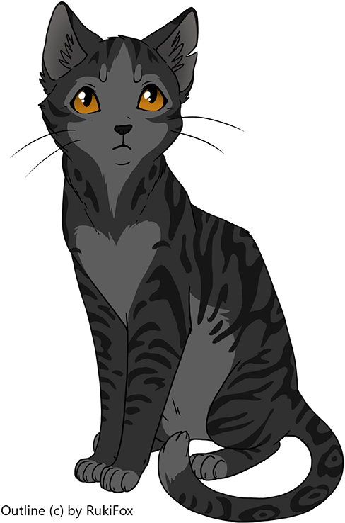 Put In Wikifaandom - Dark Grey Warrior Cats (523x752), Png Download