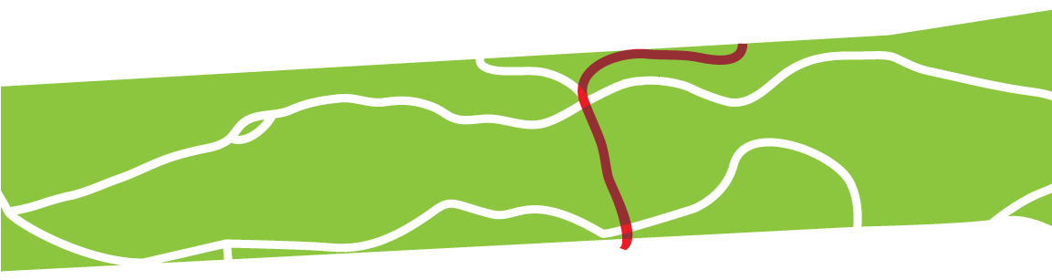 Golden Gate Park - Illustration (1152x1152), Png Download