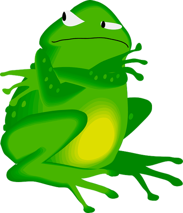 Grumpy Cat Face Png Download - Frog And The Nightingale Clipart (360x420), Png Download