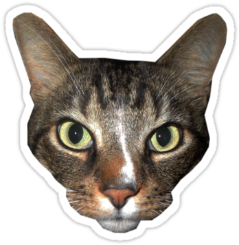 Cat Face Png Download " - Cat Face Stickers Png (375x360), Png Download