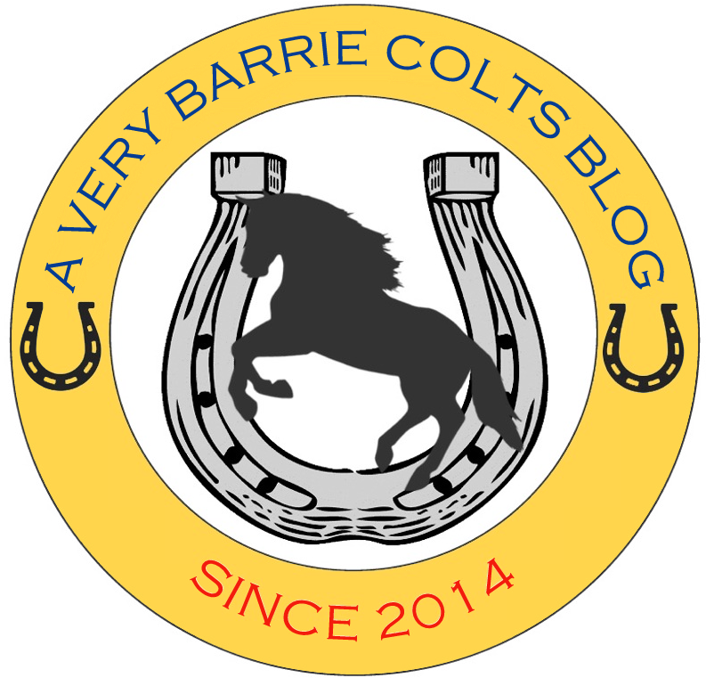 Looking To Promote In Barrie Or In The Area A Very - Good Luck Horseshoe Large Wall Clock (1045x803), Png Download