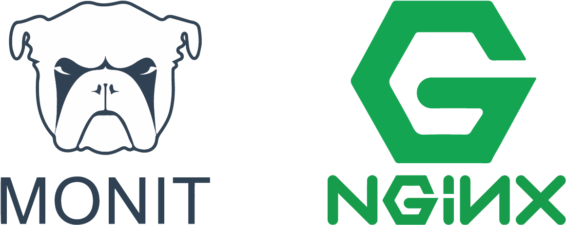 Monit Can Be Used To Monitor Your Services On Your - Nginx Logo (1400x650), Png Download