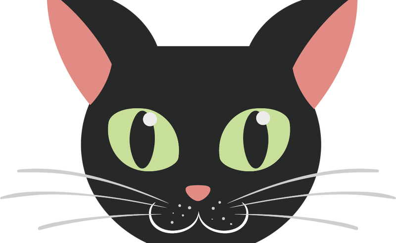 Black Cat Face Image Freeuse Download Techflourish - Cara De Gato Negro Animado (800x491), Png Download