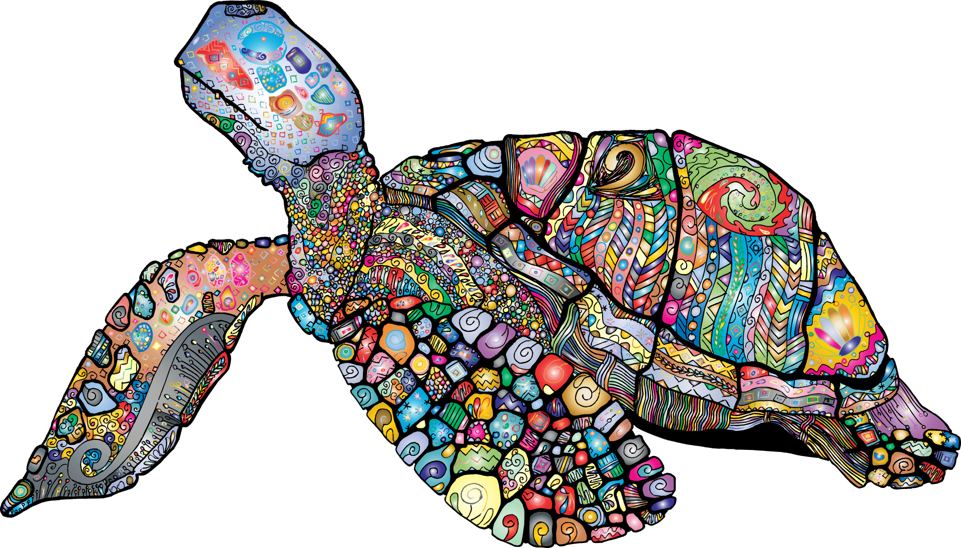 Art Id - - Colorful Turtle (1920x1095), Png Download