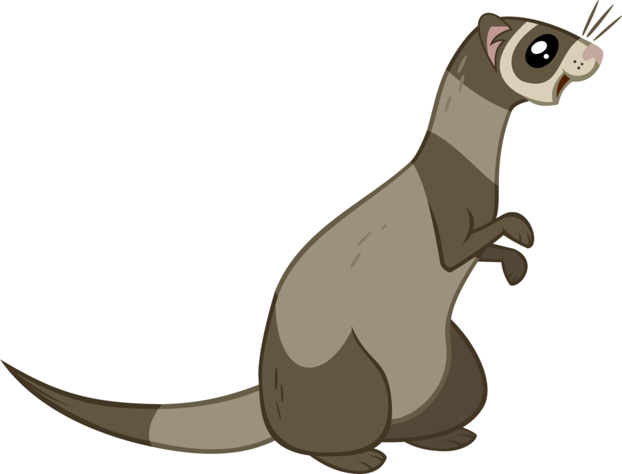 Ferret Vector By Pikuseru1-d4ugabc - My Little Pony Ferret (900x686), Png Download