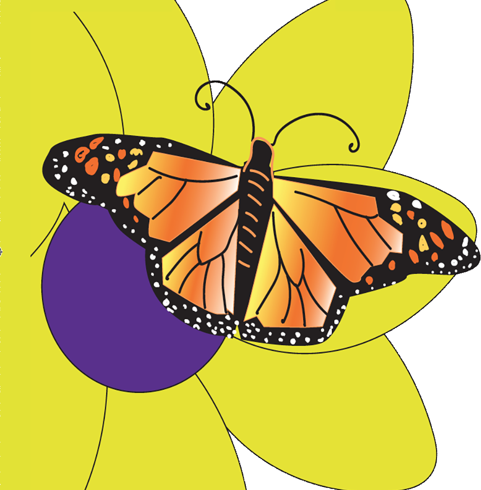 Butterfly (951x968), Png Download