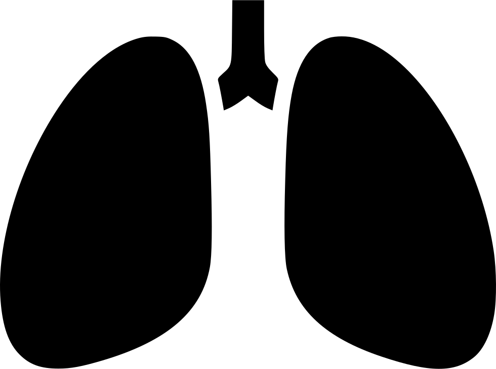 Lungs Breathing Chest X Ray Anatomytuberculosis Comments (980x730), Png Download