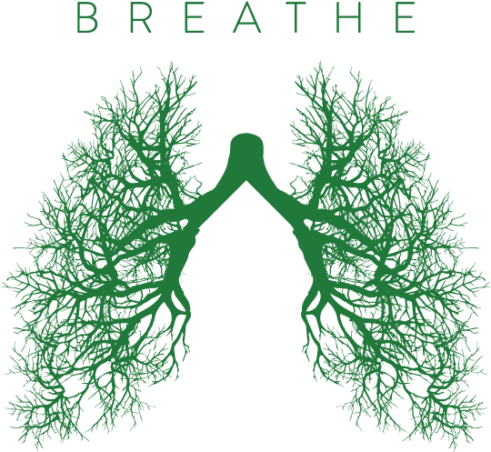 Breathe Campaign - Csulb Breathe (600x566), Png Download