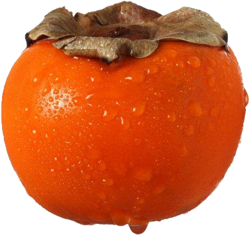 Persimmon Png Free Download - Persimmon Png (600x518), Png Download